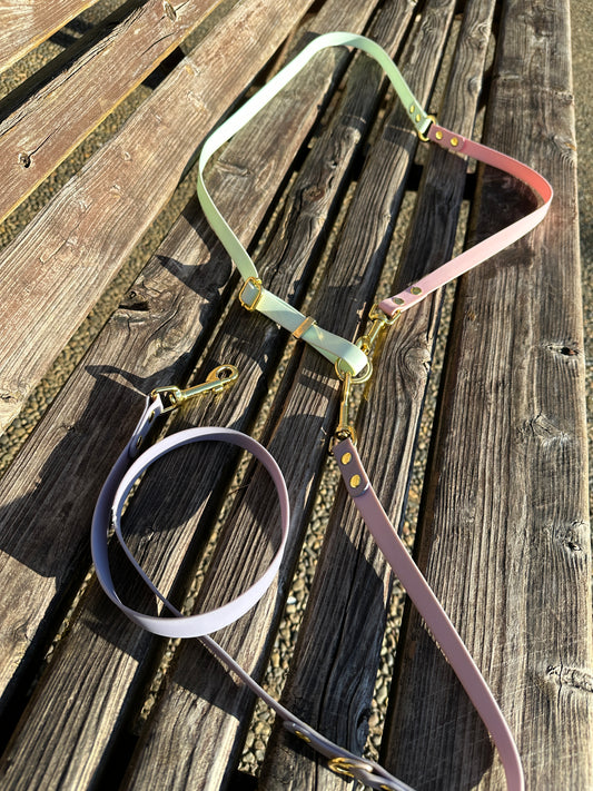 Dog leash is coming soon!