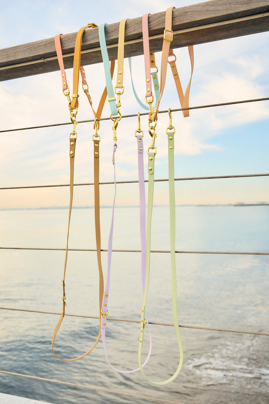 Sunny Stride Leash