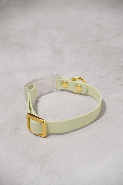 Sunny Stride Leash