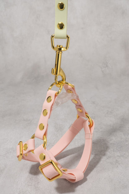 Sunny Stride Leash