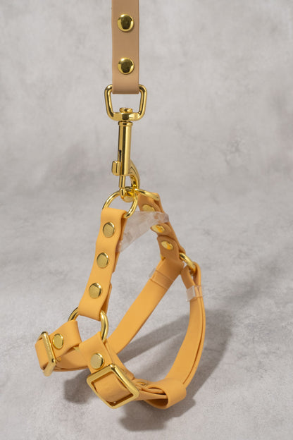 Sunny Stride Leash