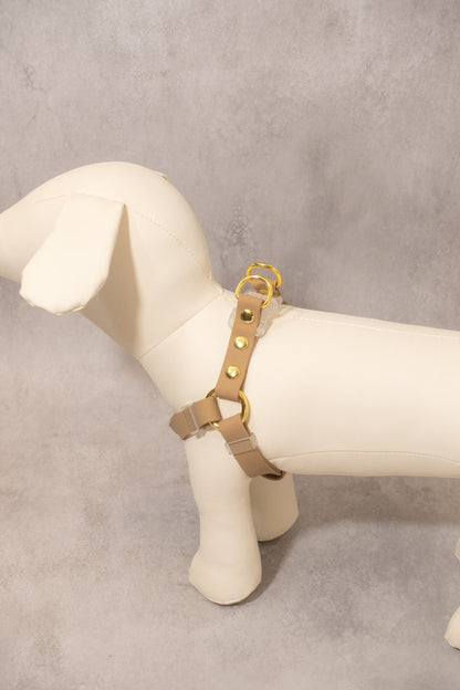 Sunny Stride Leash