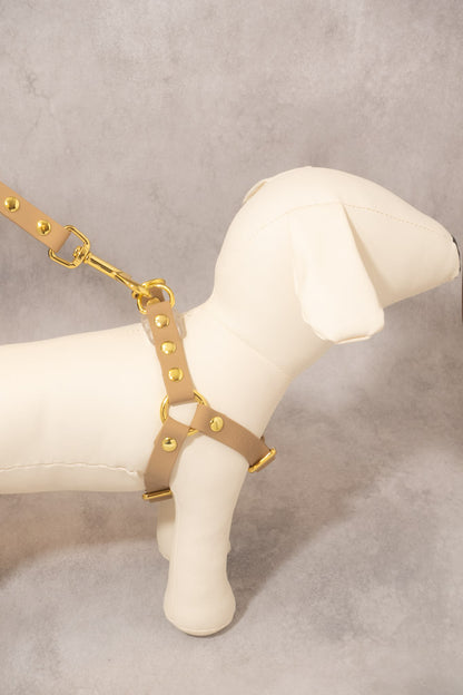 Sunny Stride Leash