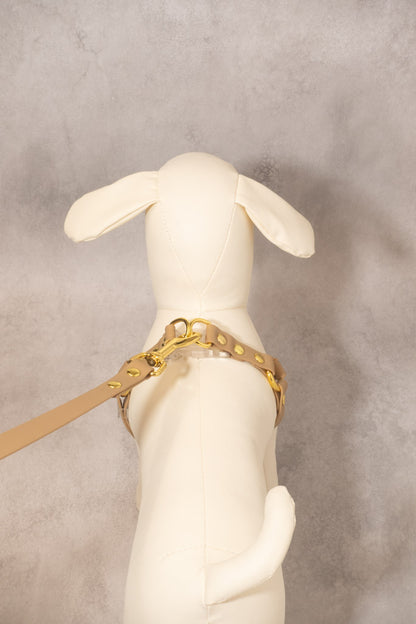 Sunny Stride Leash