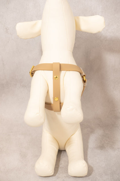 Sunny Stride Leash