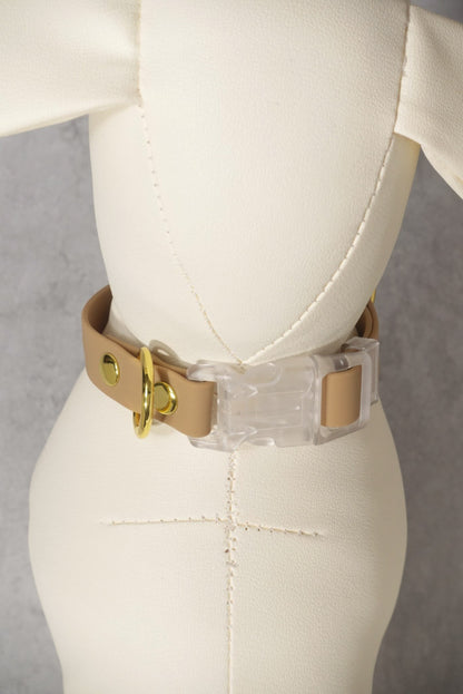 Sunny Stride Leash