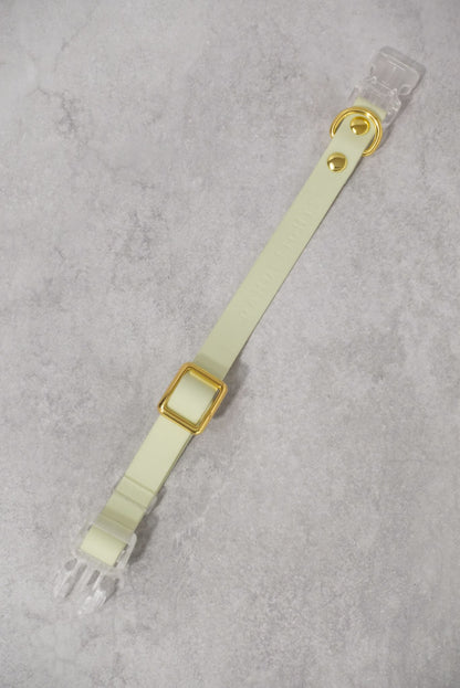Sunny Stride Leash