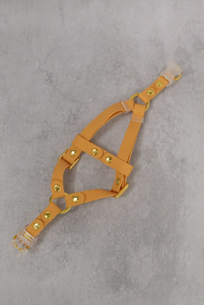 Sunny Stride Leash