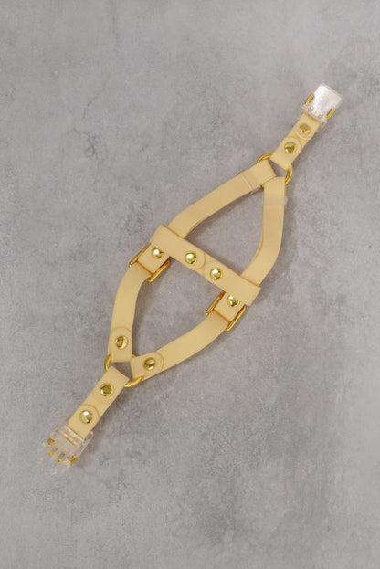 Sunny Stride Leash