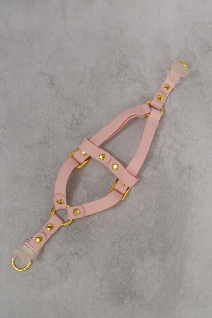 Sunny Stride Leash