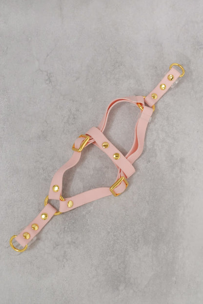 Sunny Stride Leash