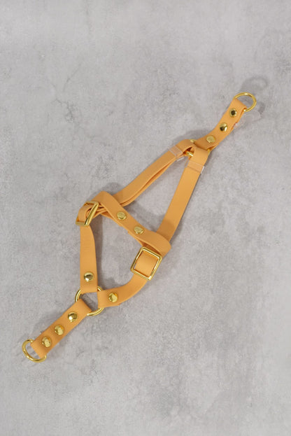 Sunny Stride Leash