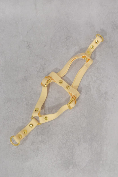 Sunny Stride Leash